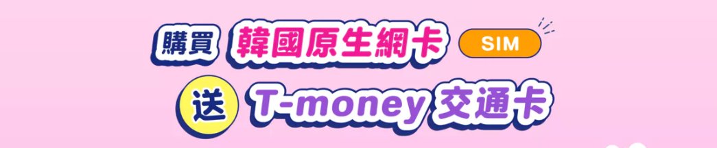 【環亞電訊】韓國網卡